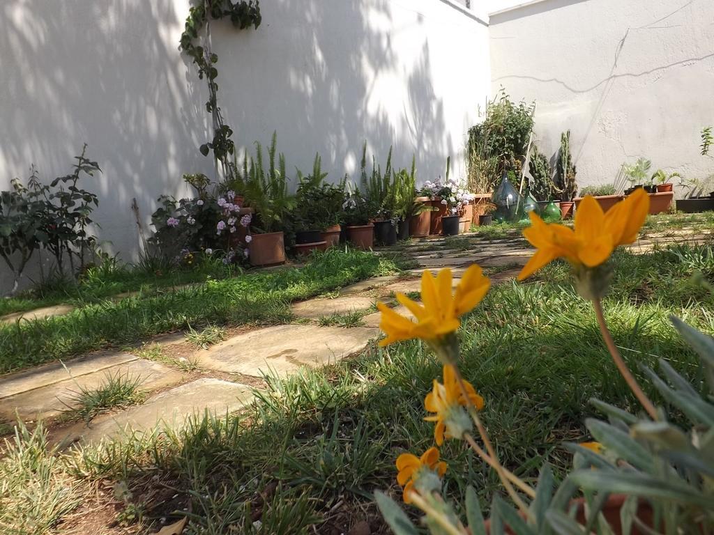 Araucaria Bed & Breakfast Torre San Giovanni Ugento Dış mekan fotoğraf